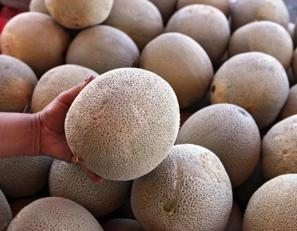 FDA Widens Cantaloupe Recall as Infections Skyrocket in Just One Week! Stay Informed to Protect Your Health!