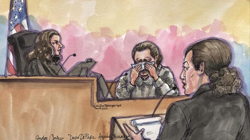 Emotional Testimony Unveils Shocking Twist in Paul Pelosi Assault Trial: Tearful David DePape Believed Victim Was Dead – Inside the Riveting Courtroom Revelation