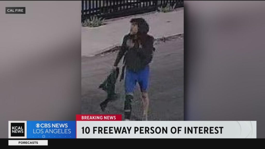 Burning Questions: Exclusive Images of ‘Person of Interest’ Emerge in 10 Freeway Arson Investigation – Uncover the Shocking Details Inside!