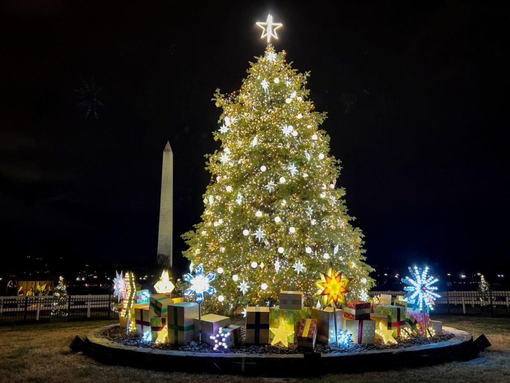 Holiday Havoc: Iconic National Christmas Tree Topples in White House Whirlwind – Exclusive Footage Inside!