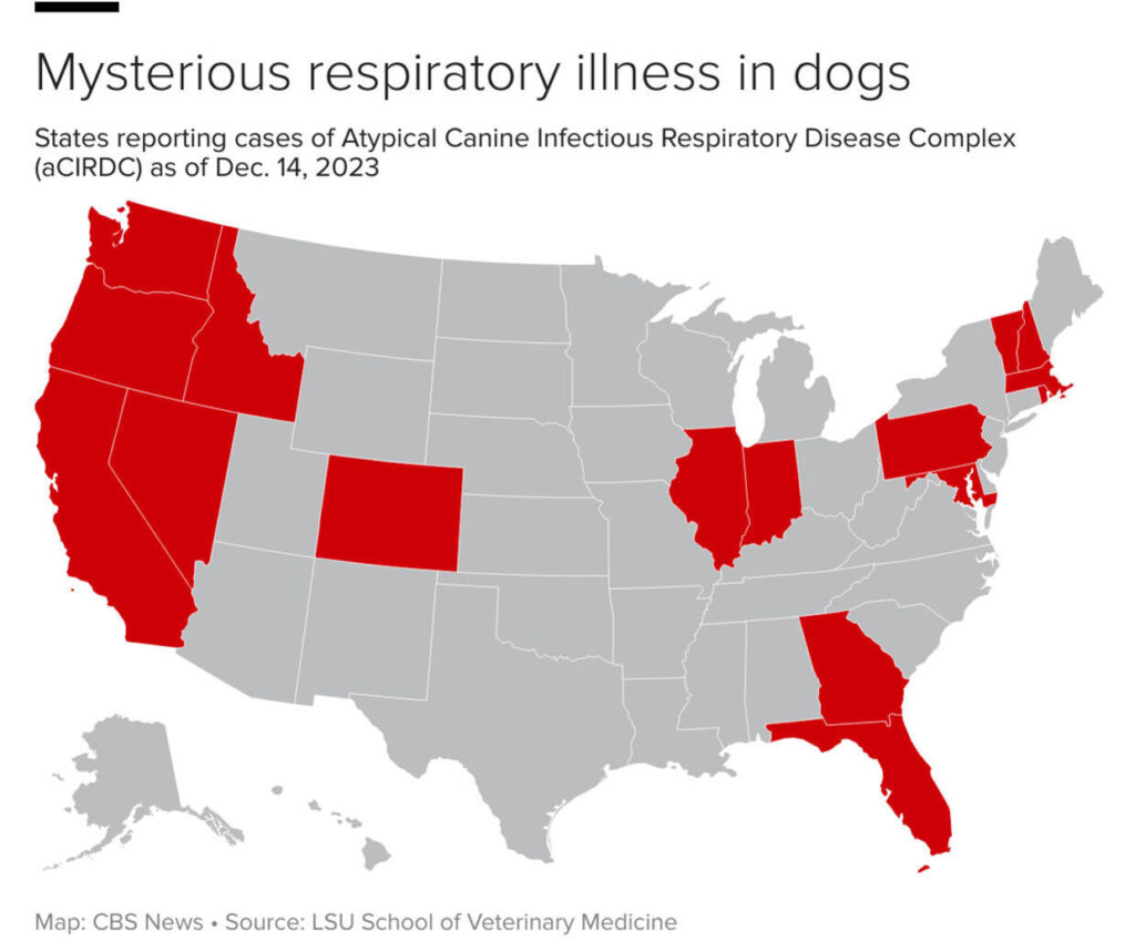 Paws and Panic: Unraveling the Canine Mystery – Interactive Map Reveals Spread of Mysterious Dog Respiratory Illness Across the U.S.
