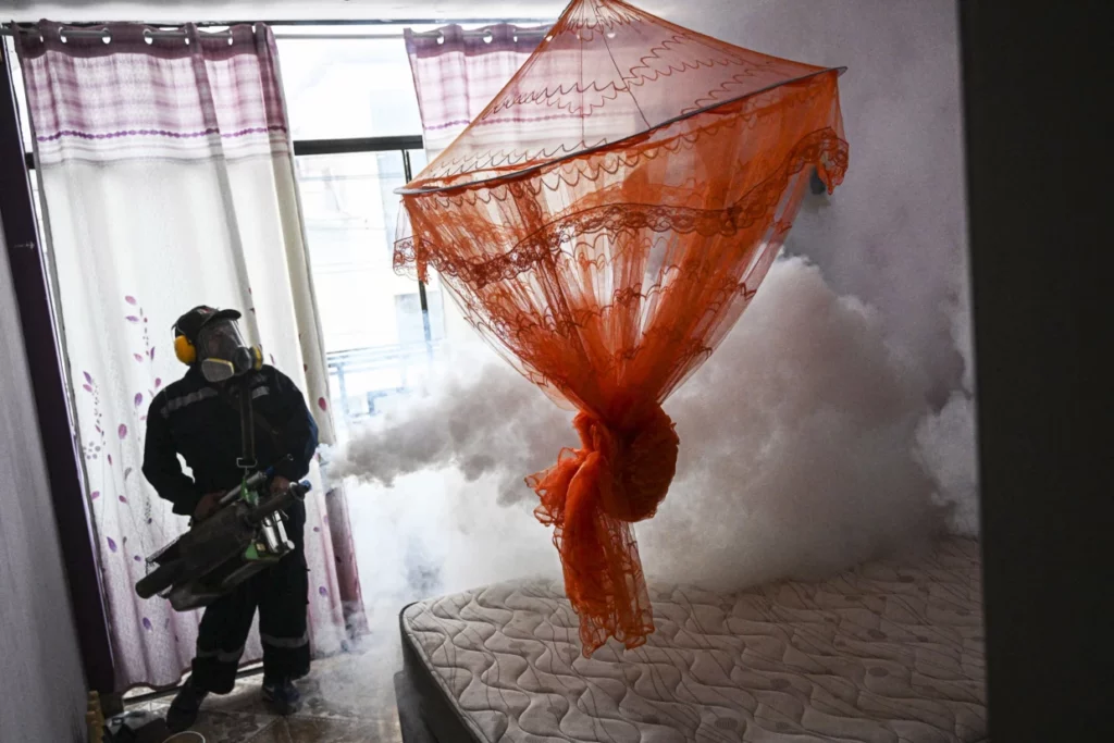 Dengue Devastation Peaks: Unprecedented Outbreak Strikes Millions Amid Soaring Temperatures – What You Need to Know!